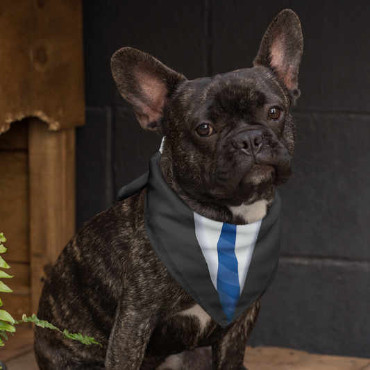 Suit and tie bandana